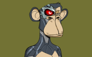 NFT Monkey Bored Ape 